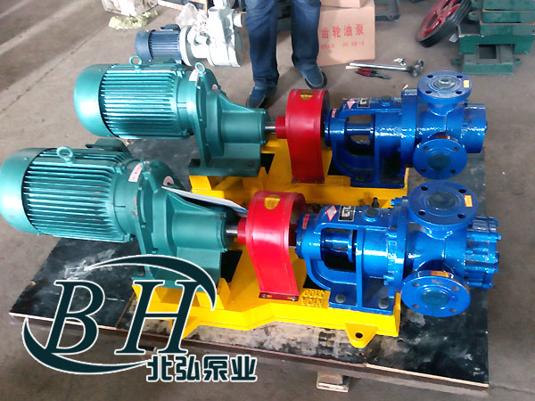 NYP內(nèi)環(huán)式轉(zhuǎn)子泵 NYP內(nèi)環(huán)式轉(zhuǎn)子泵